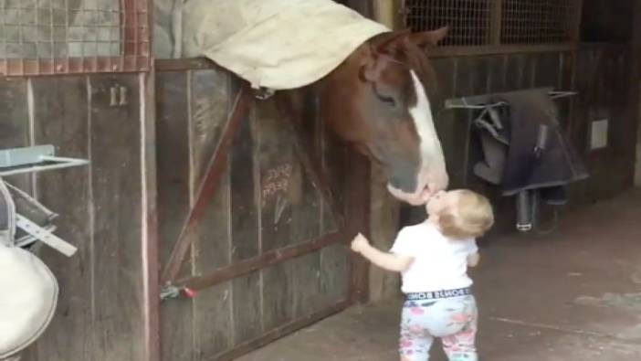 Küçük kızın atlara öpücük yağdırması görenleri gülümsetti