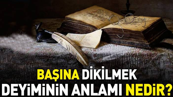 Başına dikilmek deyiminin anlamı nedir?