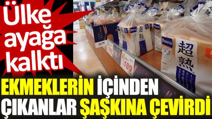 Ekmeklerin içinden çıkanlar şaşkına çevirdi  Ülke ayağa kalktı