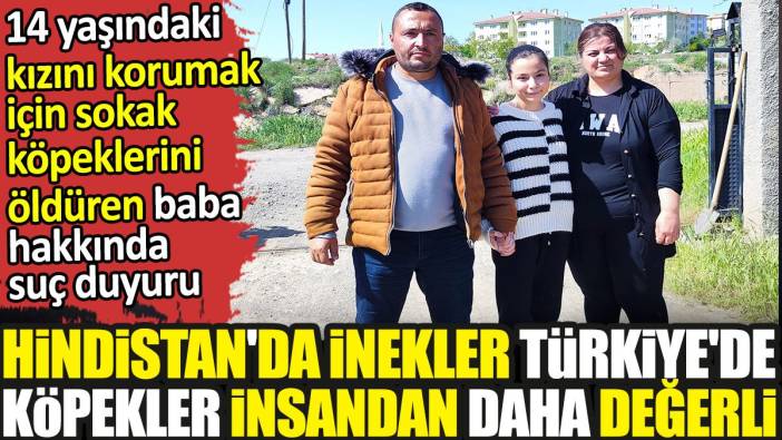 Hindistan'da inekler Türkiye'de köpekler insandan daha değerli! Kızını korumak için sokak köpeklerini öldüren babaya suç duyurusu