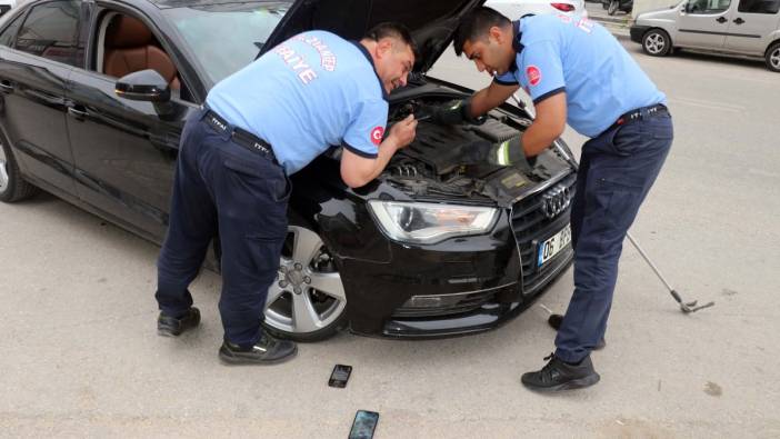 Otomobilin motoruna giren yavru kediler böyle kurtarıldı