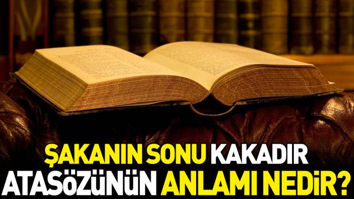 Şakanın sonu kakadır atasözünün anlamı nedir?