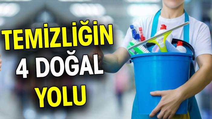 Temizliğin 4 doğal yolu nedir?