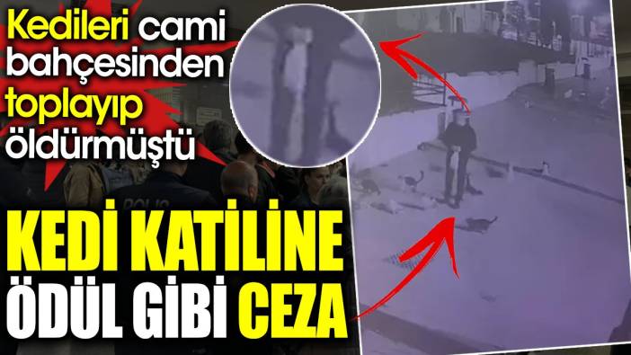 Kedi katiline ödül gibi ceza. Kedileri cami bahçesinden toplayıp öldürmüştü