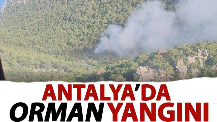 Antalya'da orman yangını 13-05-2024