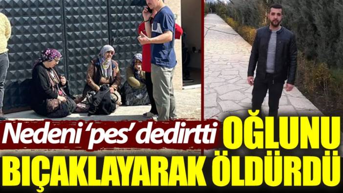 Oğlunu bıçaklayarak öldürdü, nedeni 'pes' dedirtti