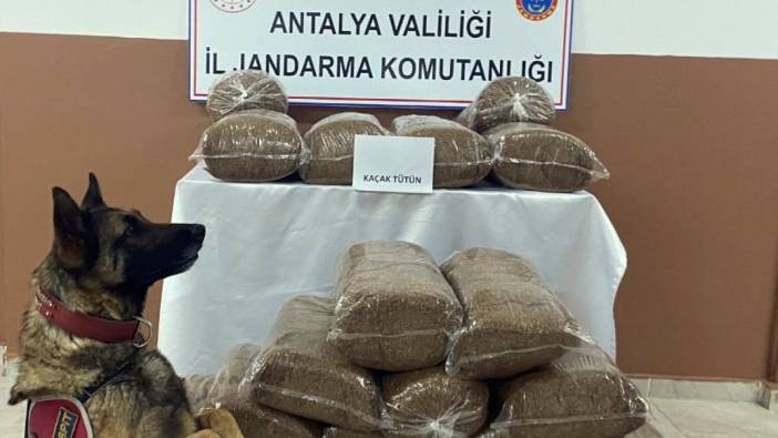 Antalya'da 230 kilogram kaçak tütün ele geçirildi