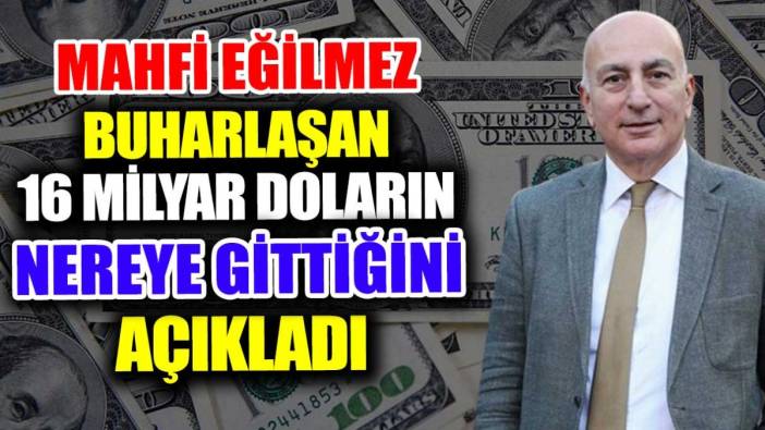 Mahfi Eğilmez buharlaşan 16 Milyar doların nereye gittiğini açıkladı