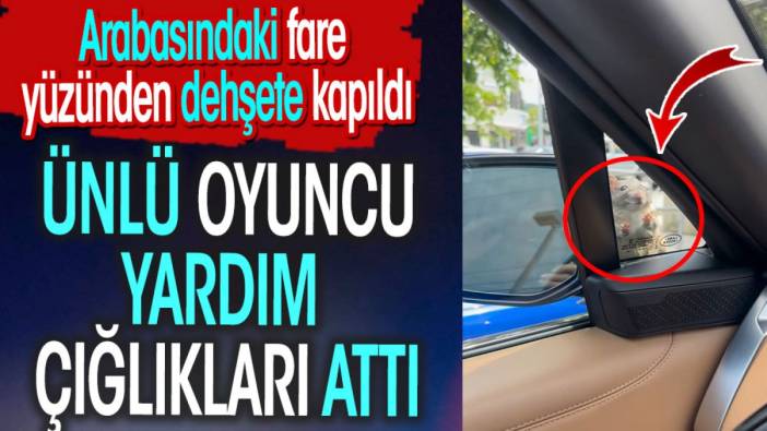 Arabasındaki fare yüzünden dehşete kapılan ünlü oyuncu yardım çığlıkları attı