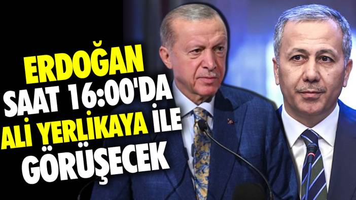 Erdoğan saat 16:00'da Ali Yerlikaya ile görüşecek