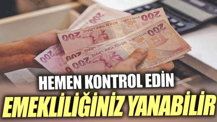 Emekliliğiniz yanabilir. Hemen kontrol edin