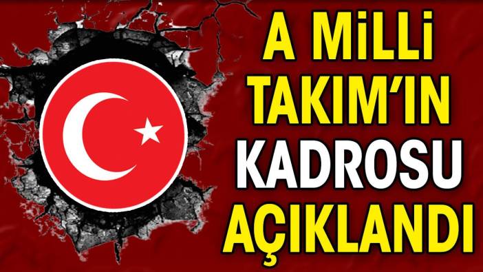 A Milli Takım'ın aday kadrosu açıklandı