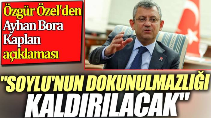 Özgür Özel'den Ayhan Bora Kaplan açıklaması. 'Soylu'nun dokunulmazlığı kaldırılacak'