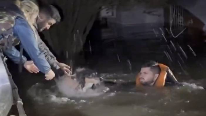 UFC dövüşçüsü Michel Pereira Brezilya'daki sel felaketinde sokak hayvanlarını kurtardı