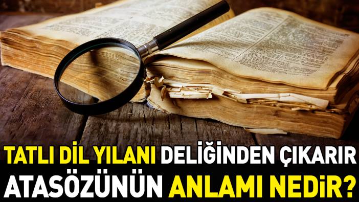 Tatlı dil yılanı deliğinden çıkarır atasözünün anlamı nedir?