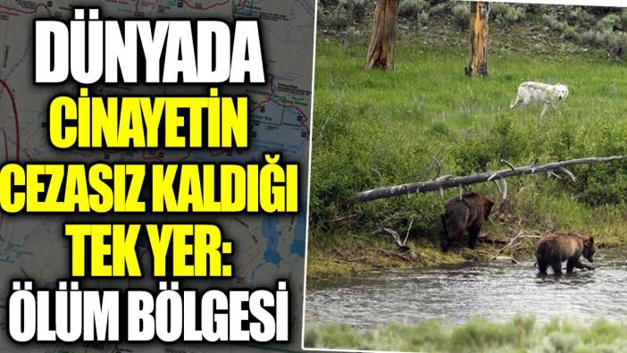 Dünyada cinayetin cezasız kaldığı tek yer: Ölüm Bölgesi