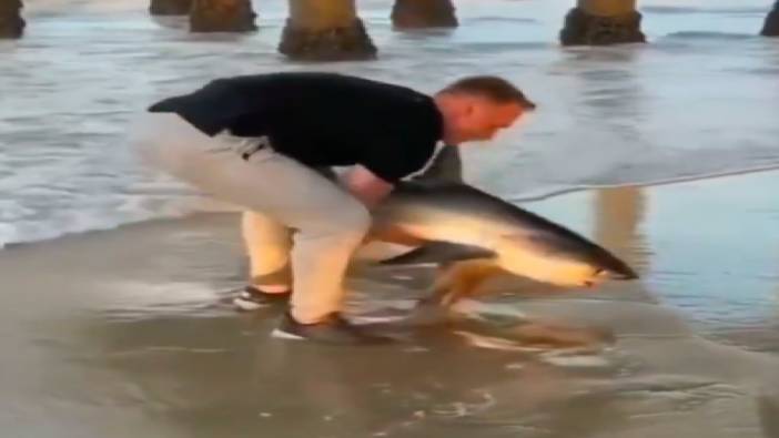 Kıyıya vuran yavru köpek balığını kucaklayıp denize götürdü