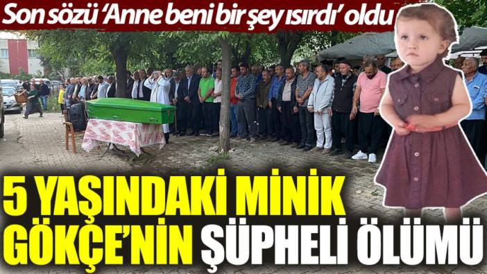 5 yaşındaki Minik Gökçe’nin şüpheli ölümü: Son sözü ‘Anne beni bir şey ısırdı’ oldu