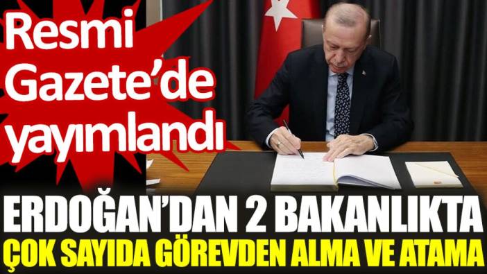 Erdoğan’dan 2 bakanlıkta çok sayıda görevden alma ve atama. Resmi Gazete’de yayımlandı