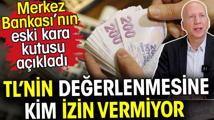 TL'nin değerlenmesine kim izin vermiyor? Merkez Bankası'nın eski kara kutusu açıkladı