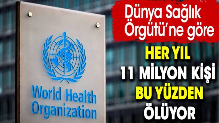 Her yıl 11 milyon kişi bu yüzden ölüyor. Dünya Sağlık Örgütü açıkladı