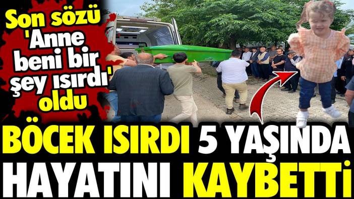 Böcekli’de böcek ısırdı 5 yaşındaki Gökçe hayatını kaybetti! Son sözü 'Anne beni bir şey ısırdı'