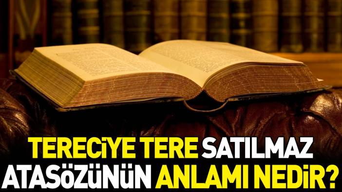 Tereciye tere satılmaz atasözünün anlamı nedir?