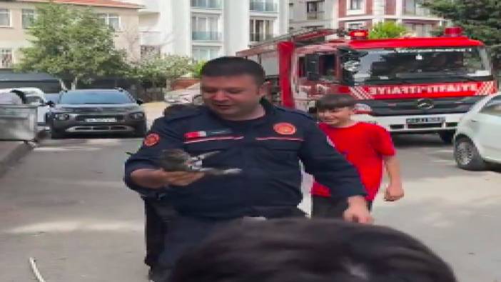 Kaldırımdaki boruya sıkışan yavru kediyi itfaiye kurtardı