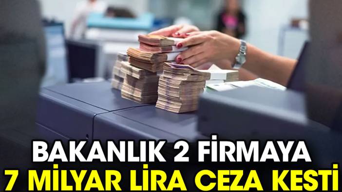 Bakanlık 2 firmaya 7 milyar lira ceza kesti