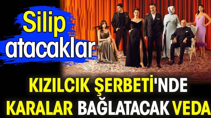 Kızılcık Şerbeti'nde karalar bağlatacak veda. Silip atacaklar