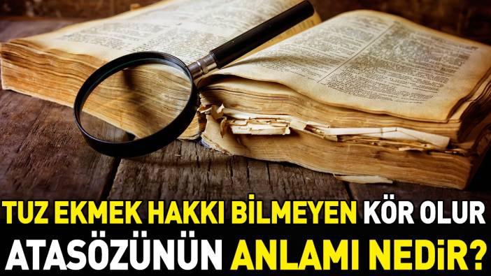 Tuz ekmek hakkı bilmeyen kör olur atasözünün anlamı nedir?