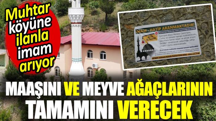 Muhtar köyüne ilanla imam arıyor. Maaşını ve meyve ağaçlarının tamamını verecek