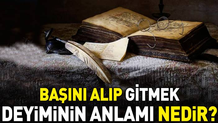 Başını alıp gitmek deyimi ne anlama geliyor?