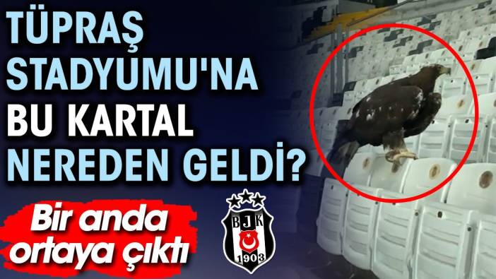 Tüpraş Stadyumu'na bu kartal nereden geldi? Bir anda ortaya çıktı