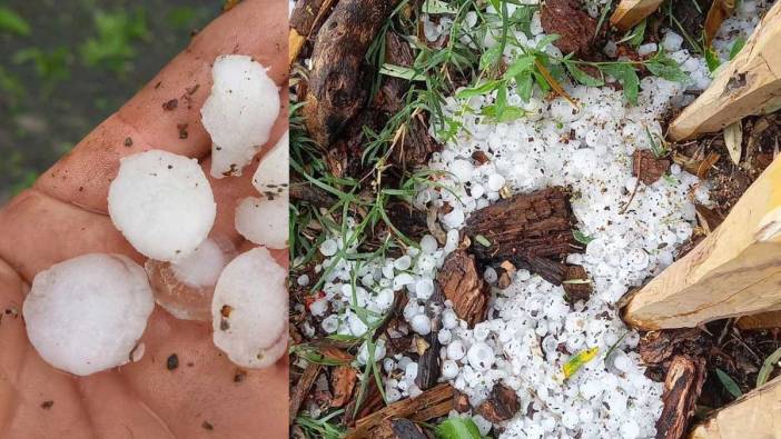 Dolu Kozan'ı vurdu, tarım arazileri zarar gördü