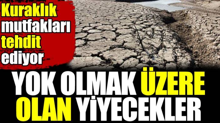 Yok olmak üzere olan yiyecekler. Kuraklık mutfakları tehdit ediyor