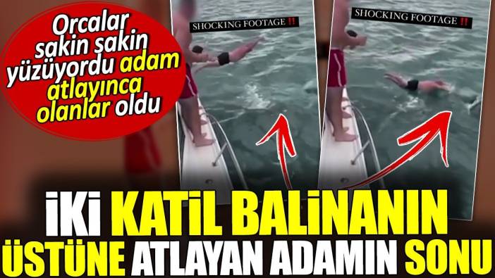 İki katil balinanın üstüne atlayan adamın sonu. Orcalar sakin sakin yüzüyordu adam atlayınca olanlar oldu