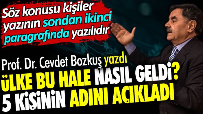 Ülke bu hale nasıl geldi? 5 kişinin adını açıkladı. Prof. Cevdet Bozkuş yazdı