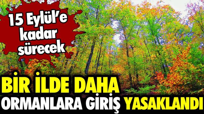 Bir ilde daha ormanlara giriş yasaklandı! 15 Eylül’e kadar sürecek