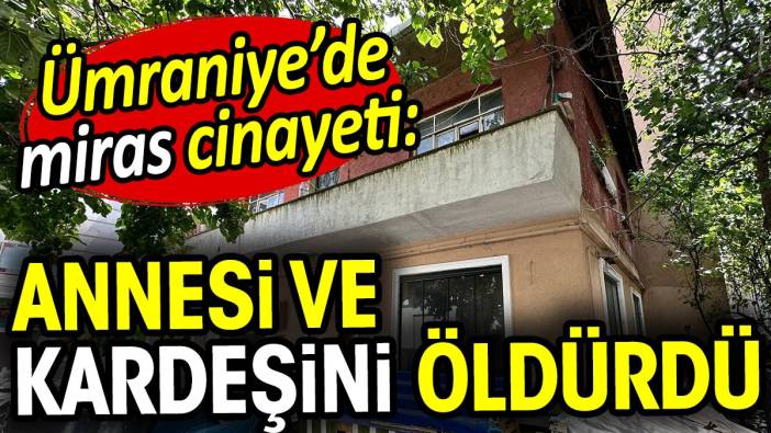 Ümraniye'de miras cinayeti: Annesi ve kardeşini öldürdü