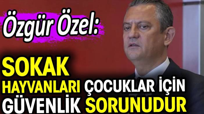 Özgür Özel: Sokak hayvanları çocuklar için güvenlik sorunudur