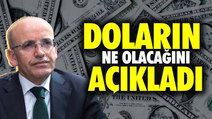 Mehmet Şimşek doların ne olacağını açıkladı