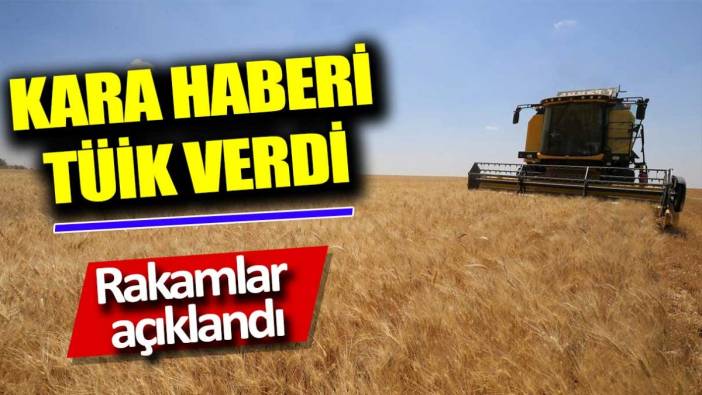 Kara haberi TÜİK verdi. Rakamlar açıklandı