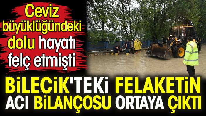 Bilecik'teki sel felaketinin acı bilançosu ortaya çıktı