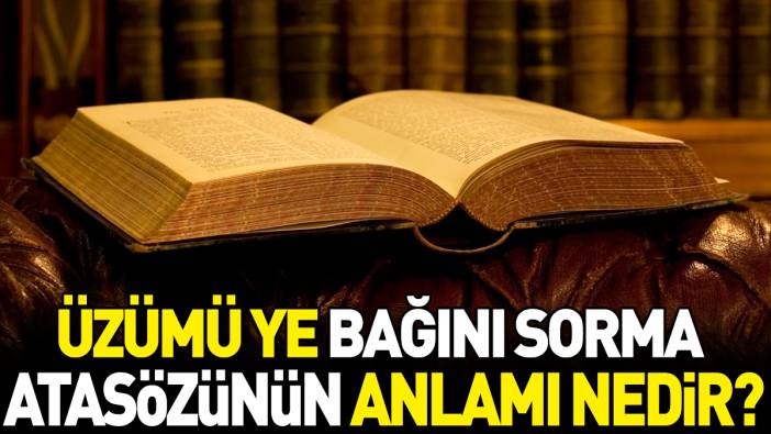 Üzümü ye bağını sorma atasözünün anlamı nedir?