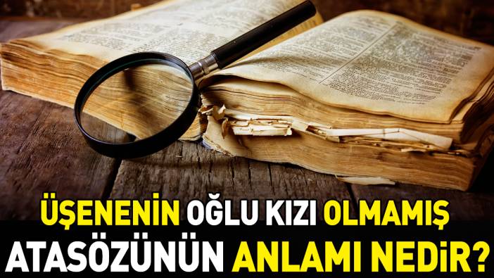 Üşenenin oğlu kızı olmamış atasözünün anlamı nedir?