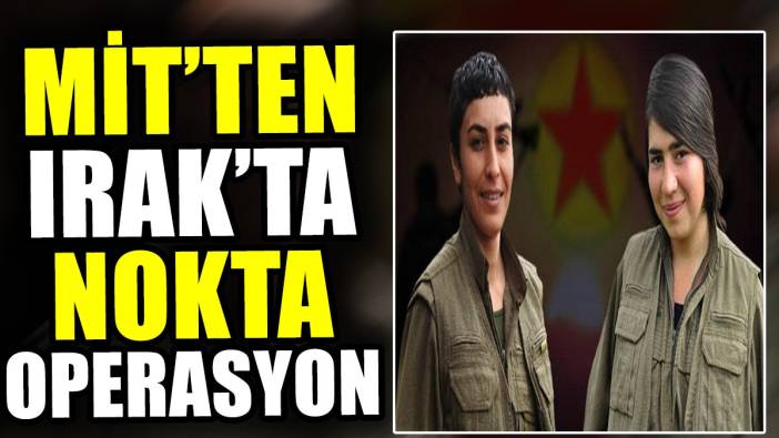 MİT'ten Irak'ta nokta operasyon