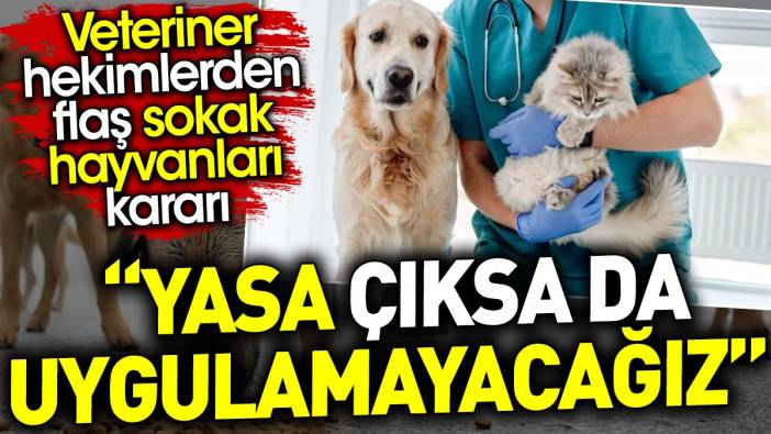 ‘Yasa çıksa da uygulamayacağız’ Veteriner hekimlerden flaş sokak hayvanları kararı