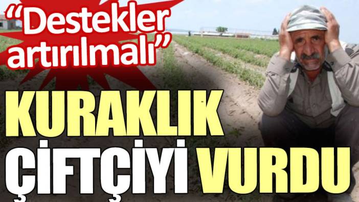 Kuraklık çiftçiyi vurdu. Destekler artırılmalı