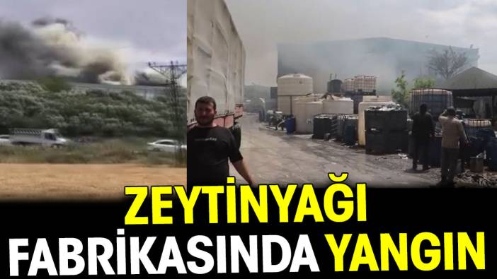 Zeytinyağı fabrikasında yangın